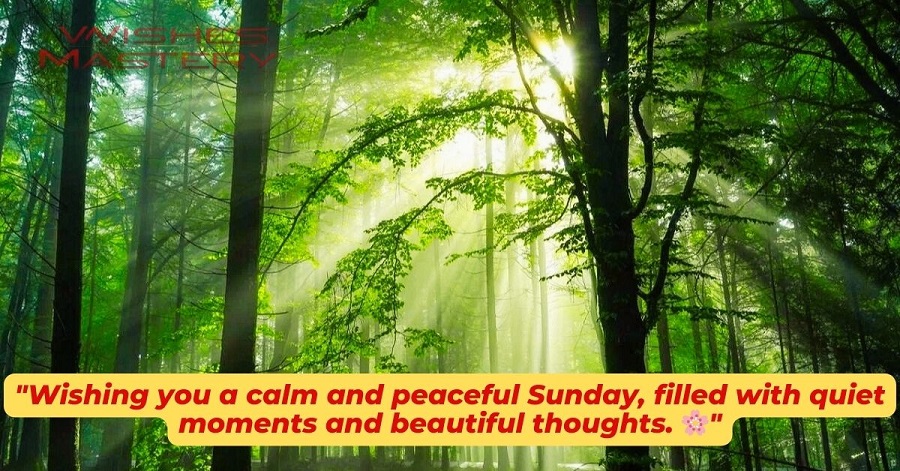 🌞 Peaceful & Relaxing Sunday Wishes